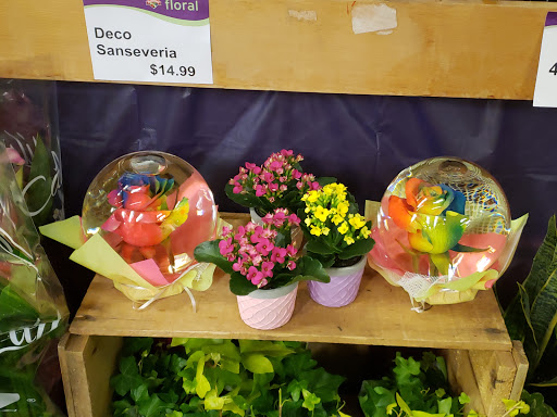 Grocery Store «Hannaford Supermarket», reviews and photos, 162 NY-22, Pawling, NY 12564, USA