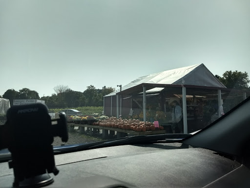 Produce Market «Sunscape Farms», reviews and photos, 1420 Creek St, Rochester, NY 14625, USA