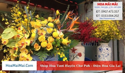 Shop Hoa Tươi Huyện Chư Pưh - Điện Hoa Gia Lai
