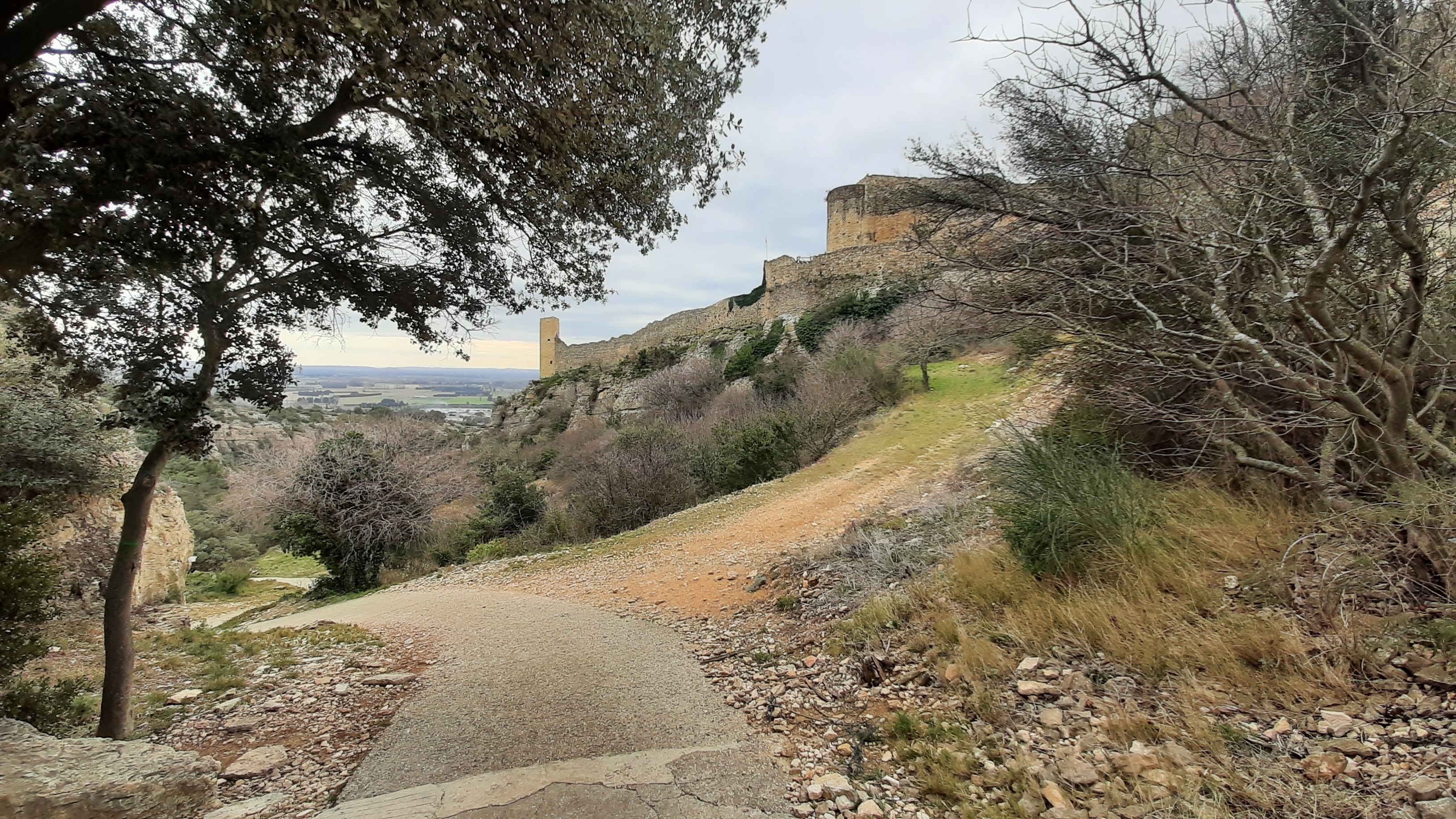 Photo n° 15 de l'avis de SigreY.. fait le 13/02/2022 à 18:03