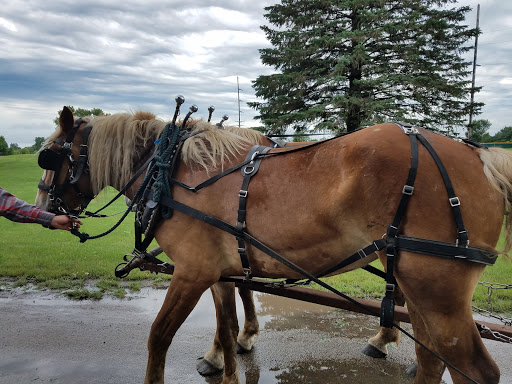 Park «Luverne City Park», reviews and photos