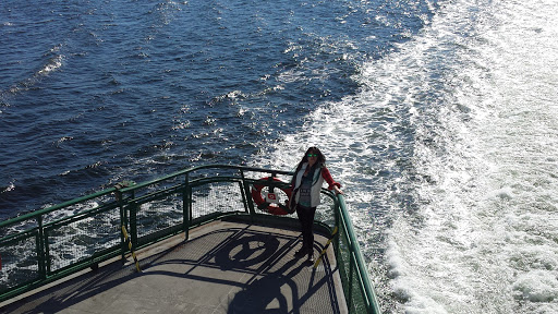 Park «Olympic Sculpture Park», reviews and photos, 2901 Western Ave, Seattle, WA 98121, USA