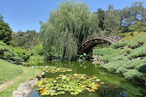 The Huntington Japanese Garden