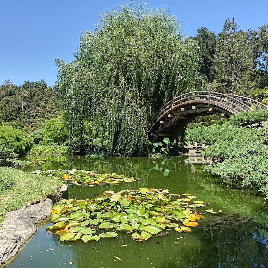 The Huntington Japanese Garden