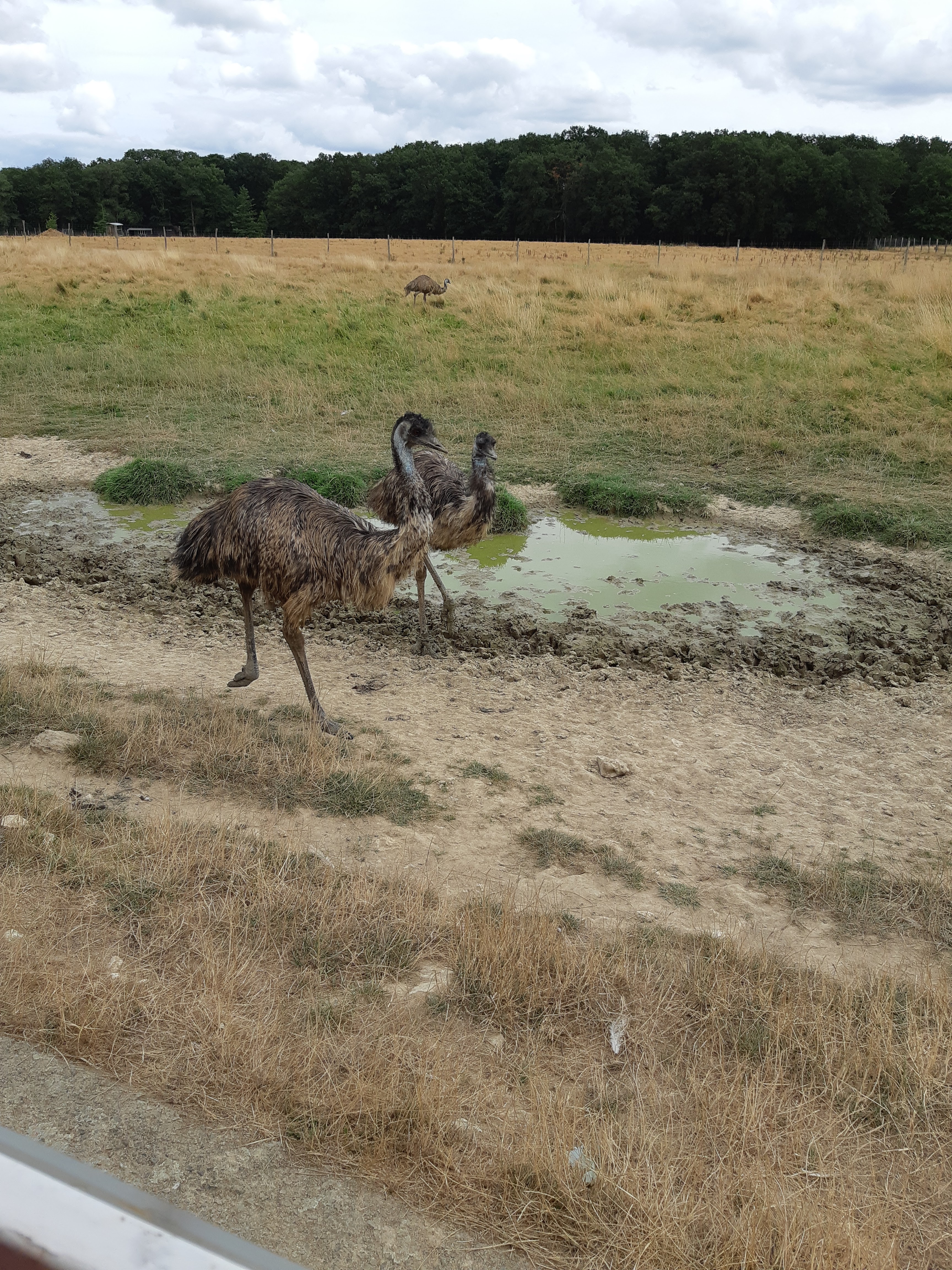 Photo n° 33 de l'avis de Carla.a fait le 10/08/2018 à 15:54