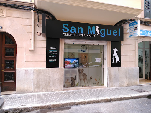 Clinica Veterinaria San Miguel