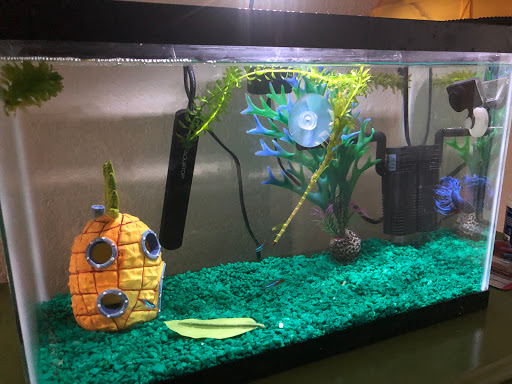 Pet Supply Store «Sonoma Pet and Aquatics», reviews and photos, 201 W Napa St #7, Sonoma, CA 95476, USA