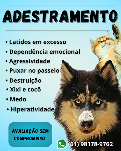 Logo da empresa - Adestrador.BX