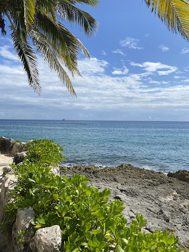 Travel Agency «Red Travel / Red Amore Travel», reviews and photos, 754 N Court St, Medina, OH 44256, USA