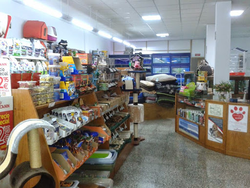 Mascotas Dinosaurio - San Cristóbal de La Laguna