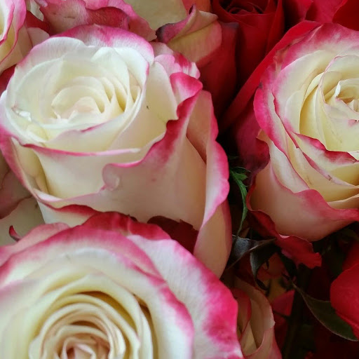 Florist «Paragon Flowers West», reviews and photos, 323 Walnut St, St Charles, IL 60174, USA