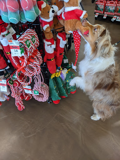 Pet Supply Store «Pet Supplies Plus», reviews and photos, 7954 Brewerton Rd #400, Cicero, NY 13039, USA