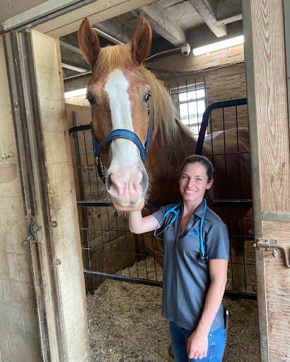 Windmiller Equine Veterinary Services image