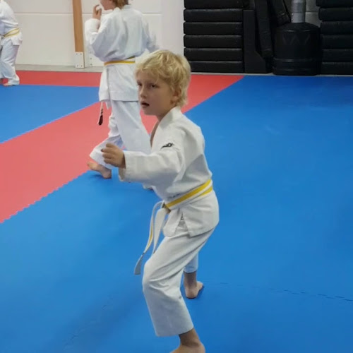 Rezensionen über Kyodai Karate-Do in Muttenz - Fitnessstudio