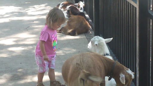 Zoo «Fritz Park Petting Farm», reviews and photos, 312 E Vilbig St, Irving, TX 75060, USA