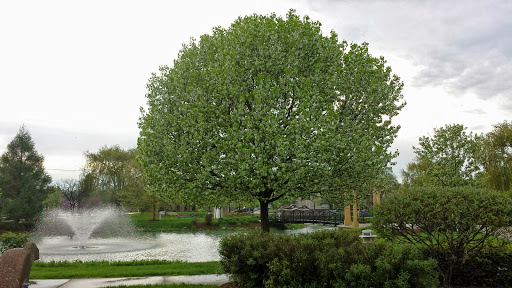 Park «St Clair Shores Park», reviews and photos, 20000 Stephens, St Clair Shores, MI 48080, USA