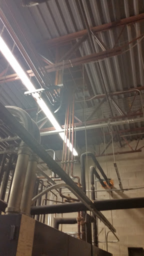 Grocery Store «Food Lion», reviews and photos, 15432 Rogers Clark Blvd, Bowling Green, VA 22427, USA