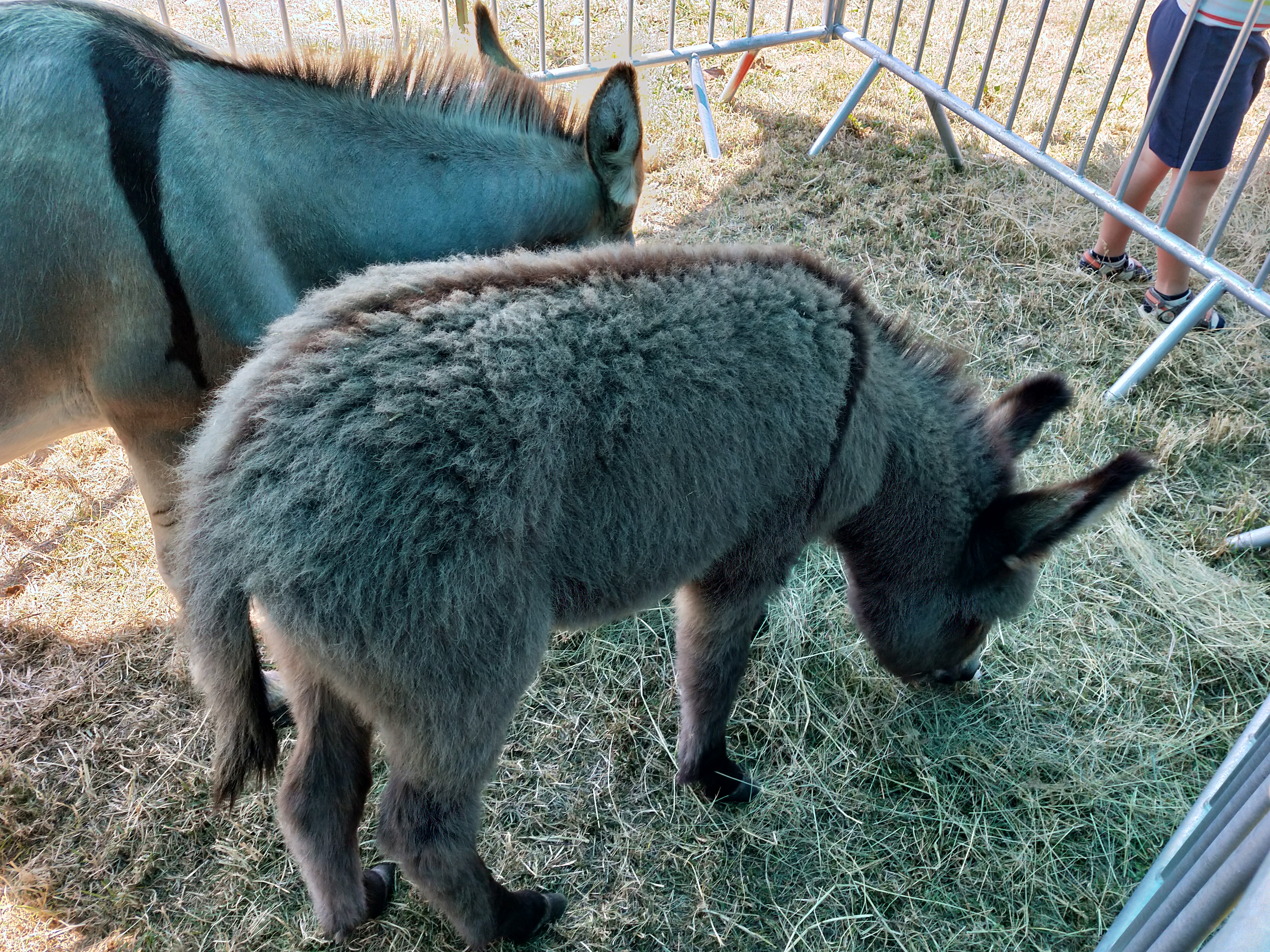 Photo n° 1 de l'avis de bonnet.a fait le 25/07/2019 à 15:30