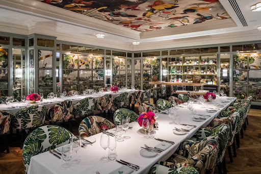The Ivy Dublin