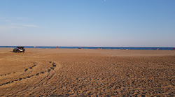 Photo de Platja dels Eucaliptus avec rivage droit, long