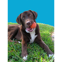 Adventures in Bradyville - Photo 1 - Car repair in Kenneth City, FL, St. Petersburg