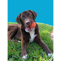 Adventures in Bradyville - Car repair in Kenneth City, FL, St. Petersburg - Rated 0.0/5