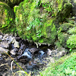 Photo n° 1 de l'avis de Valérie.a fait le 17/07/2022 à 13:51 pour Cascade des Tufs à Les Planches-prés-Arbois