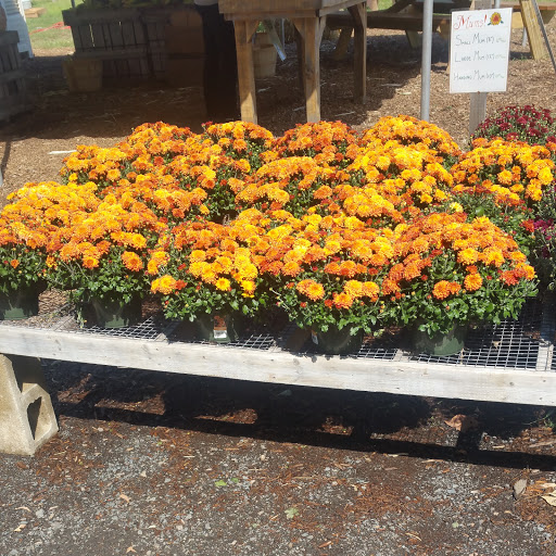 Farm «Langwater Farm», reviews and photos, 209 Washington St, North Easton, MA 02356, USA