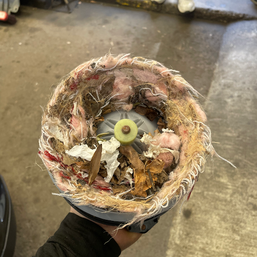 Auto Repair Shop «East Rock Auto Repair Inc», reviews and photos, 1400 State St, New Haven, CT 06511, USA