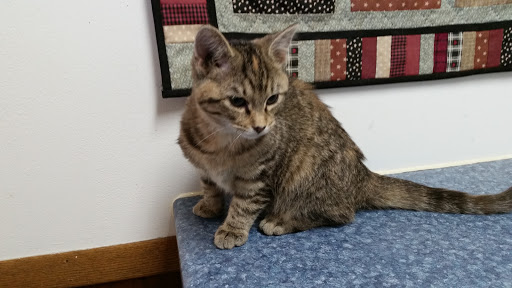 4101 E Towne Blvd, Madison, WI 53704, USA