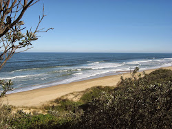 Foto di Shelly Beach zona selvaggia