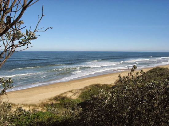 Shelly Beach