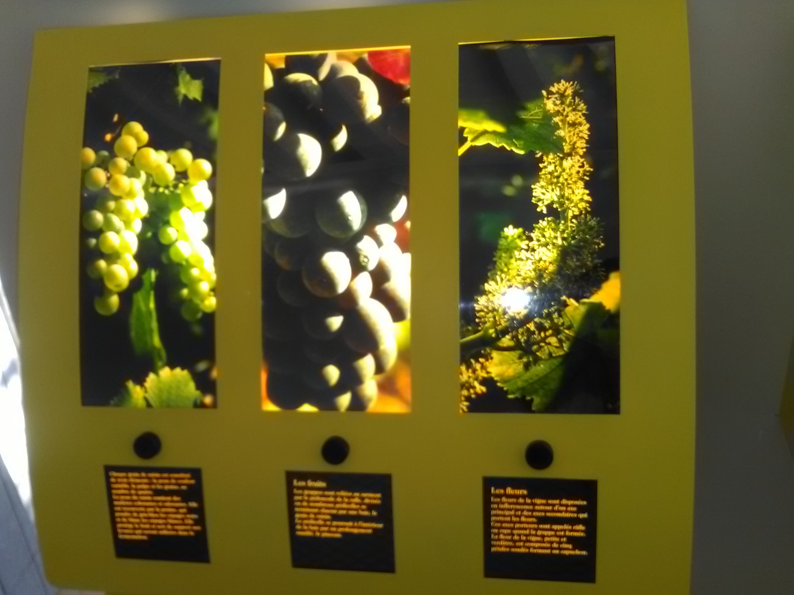 Photo n° 24 de l'avis de Athéna.e fait le 15/08/2017 à 06:29