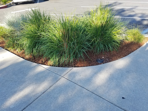 Coffee Shop «Coffee Shop», reviews and photos, 50 Lafayette Cir, Lafayette, CA 94549, USA