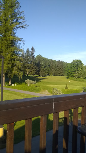 Golf Course «The Blue Heron Golf Course», reviews and photos, 1810 W Snoqualmie River Rd, Carnation, WA 98014, USA