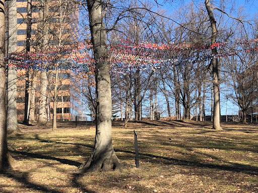 Amphitheater «Merriweather Post Pavillion», reviews and photos, 10475 Little Patuxent Pkwy, Columbia, MD 21044, USA