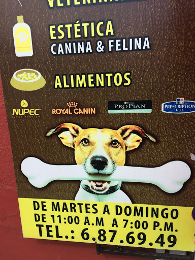 Dog shops in Puebla