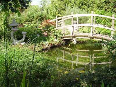 Expert Bassin à Aubigny-au-Bac