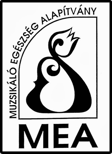 MEA Művészeti Iskola - Debrecen