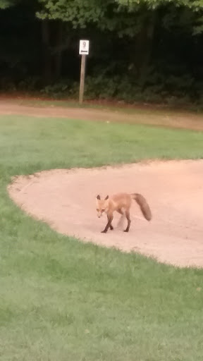 Golf Course «Pipestone Creek Golf Course», reviews and photos, 6768 Naomi Rd, Eau Claire, MI 49111, USA