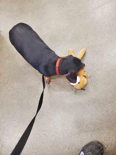 Pet Supply Store «PetSmart», reviews and photos, 5226 S College Rd, Wilmington, NC 28412, USA