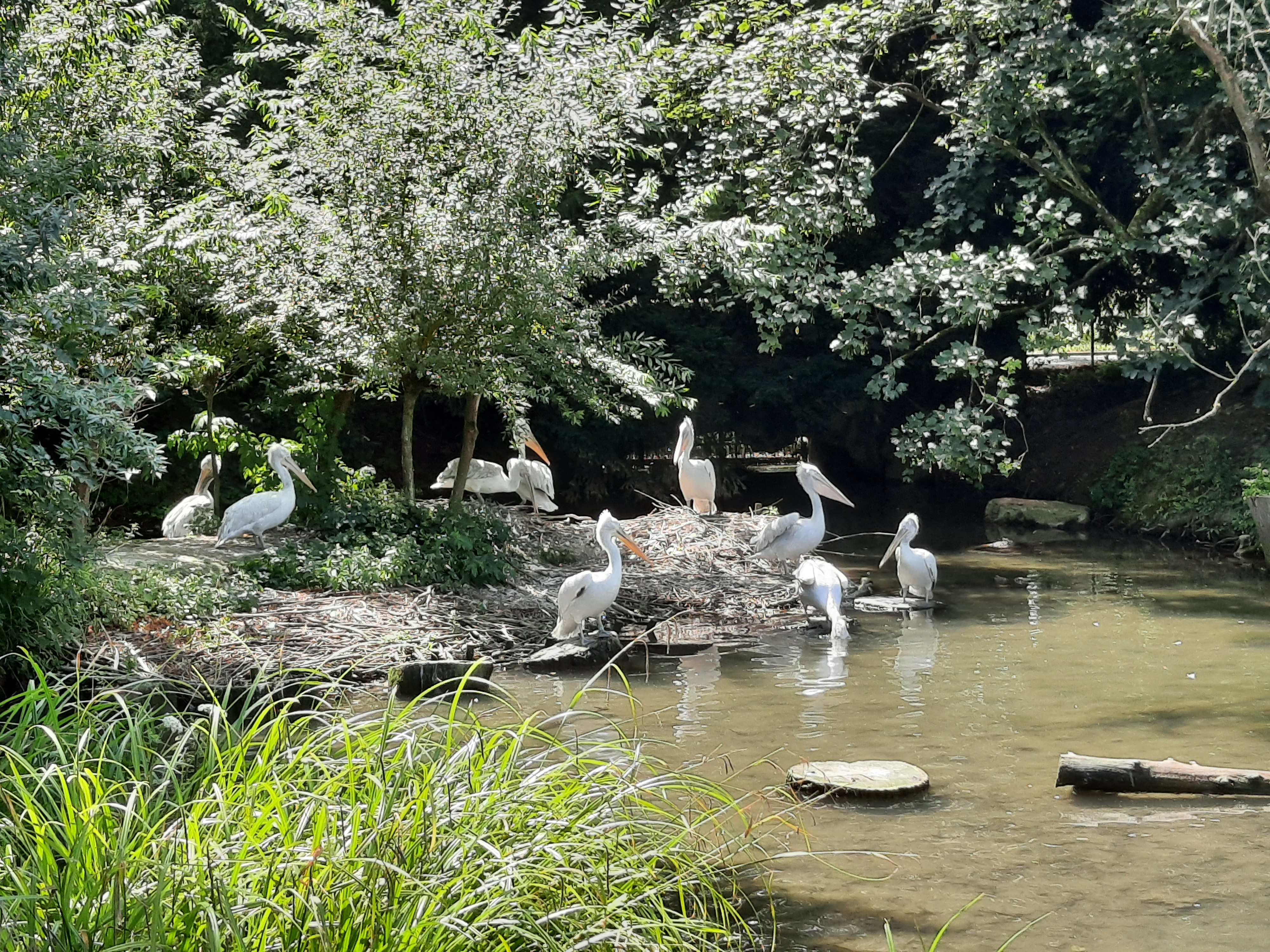 Photo n° 4 de l'avis de F. fait le 31/07/2020 à 21:19