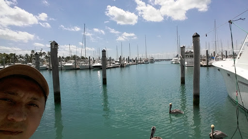 Public Golf Course «Crandon Golf at Key Biscayne», reviews and photos, 6700 Crandon Blvd, Key Biscayne, FL 33149, USA