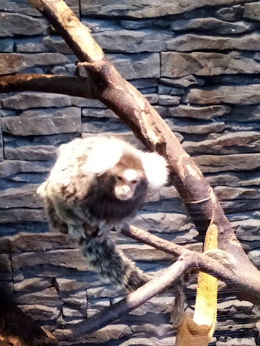 Ulica Henryka Sienkiewicza 112, 15-005 Białystok