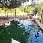 Photo n°4 de l'avis de Luca.i fait le 27/10/2022 à 10:05 sur le  La Fattoria di Valentino à Frattocchie