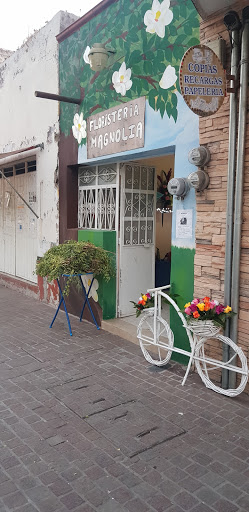 Floreria la Guadalupana