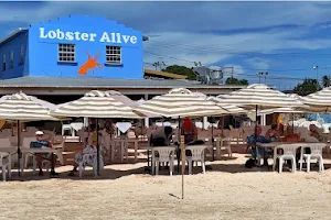Lobster Alive image