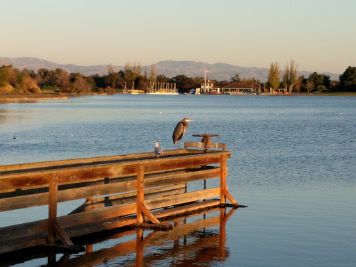 Recreation Center «Shoreline Lake Boathouse», reviews and photos, 3160 N Shoreline Blvd, Mountain View, CA 94043, USA