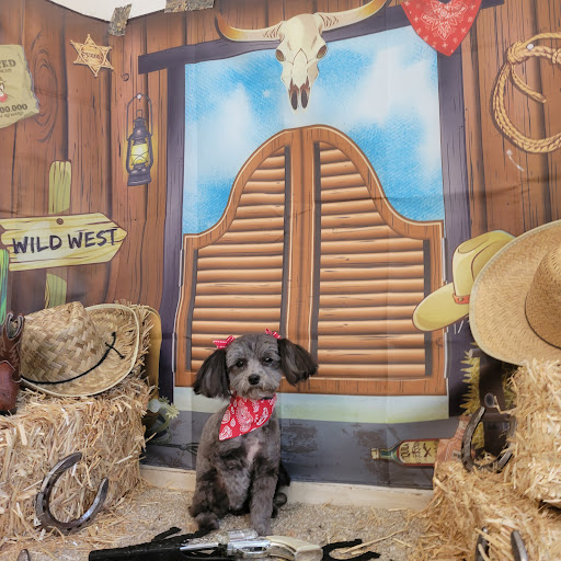 Karrie's Pet Grooming