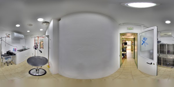 Imagen de Clínica Veterinaria Dr. Galacho (2 de 7)